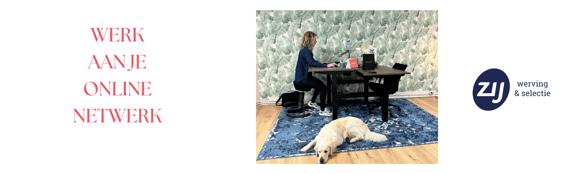 werk-aan-je-online-netwerk 7 dingen die Office Superstars doen! #WijZijnZIJ #ZIJwervingenselectie #ZIJmaakthetverschil
